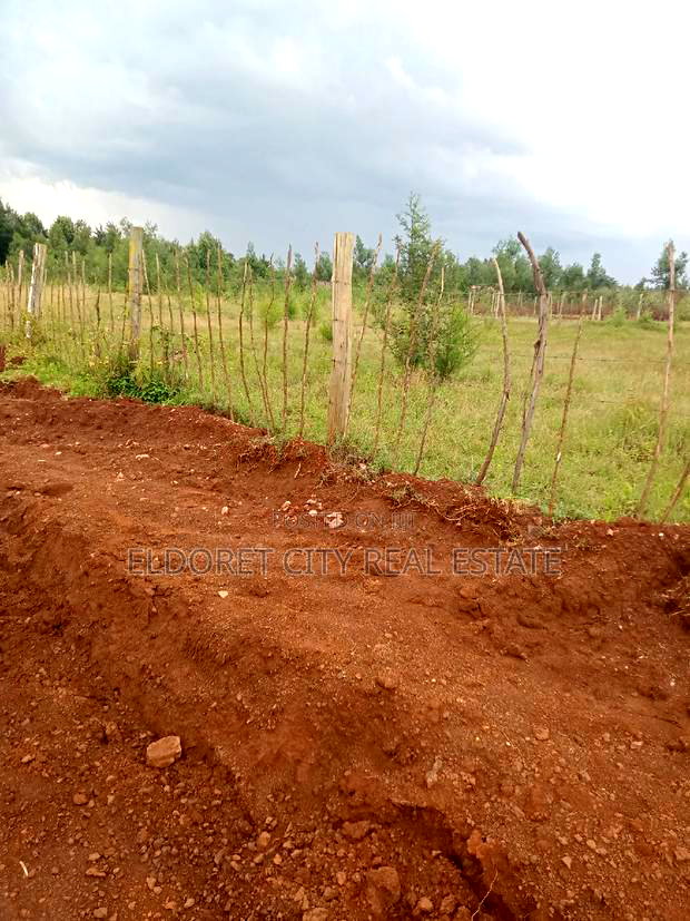 1/8 Plots Racecourse Touching Tarmac