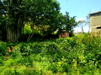 Residential Eighth Acre Red Soil Plot in Kerarapon, Ngong - Image 3