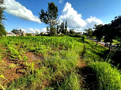 1/2 Acre for Sale in Kenol - Image 2