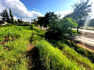 1/2 Acre for Sale in Kenol - Image 3