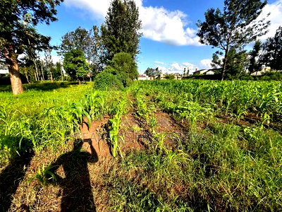 1/2 Acre for Sale in Kenol - Image 6