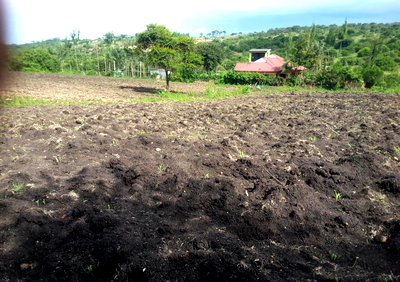 2-Acre Land in Kiserian at KSh 15M