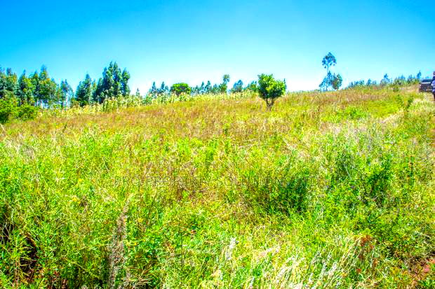 Prime Plots for Sale in Kikuyu, Kamangu.