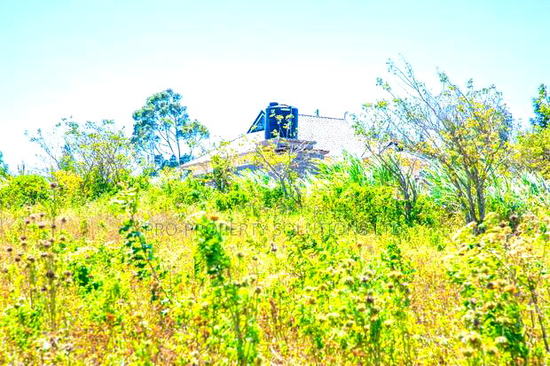 Prime Plots for Sale in Kikuyu, Kamangu.