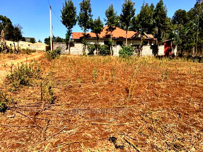 100 X 100ft Residential Plot For Sale In Kikuyu, Ondiri. - Image 4