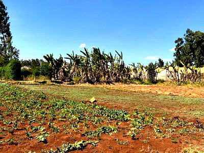 100 X 100ft Residential Plot For Sale In Kikuyu, Ondiri. - Image 5