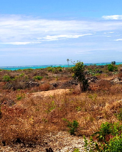50x100 Pet Friendly Plot in Malindi