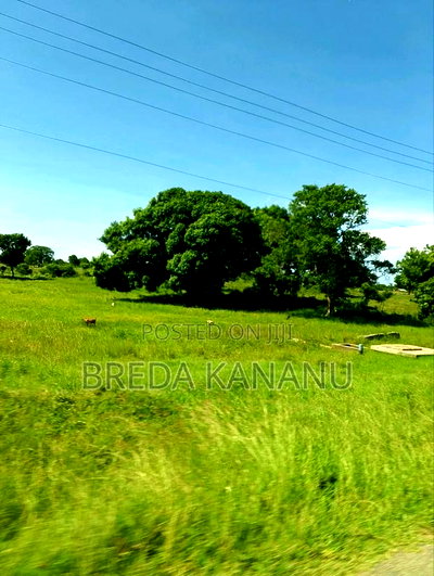 Prime 1/4 Acres In Malindi - Image 3
