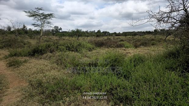 Chumvi: 2.5 Acres for Sale