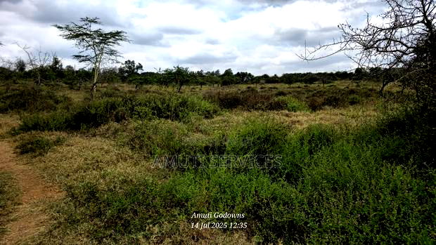 Chumvi: 2.5 Acres for Sale