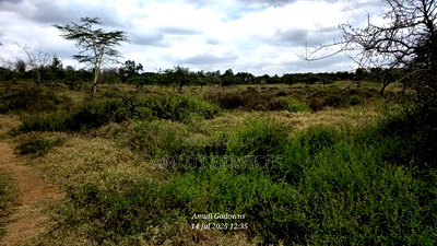 Chumvi: 2.5 Acres for Sale - Image 1