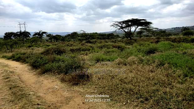 Chumvi: 2.5 Acres for Sale
