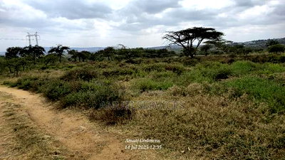 Chumvi: 2.5 Acres for Sale - Image 4