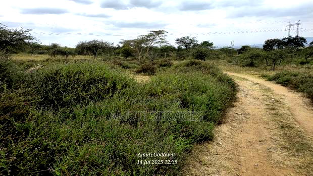 Chumvi: 2.5 Acres for Sale