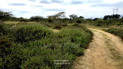 Chumvi: 2.5 Acres for Sale - Image 2