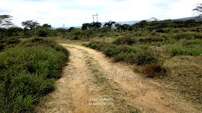 Chumvi: 2.5 Acres for Sale - Image 3