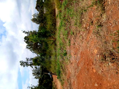 50 by 100ft Residential Plot for Sale in Kikuyu,Lusigetti - Image 3