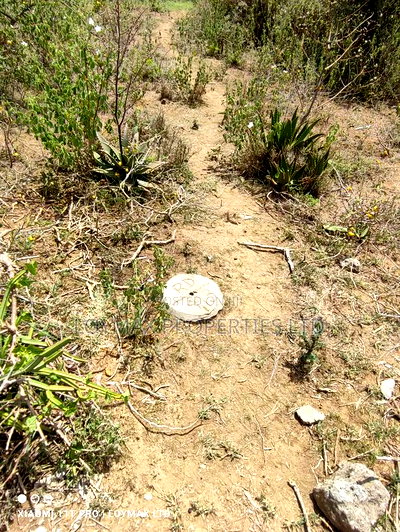 1/4 Plot Behind Nova School Athi River. - Image 3