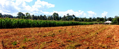4.5-Acre Plot for Sale at KSh 45M