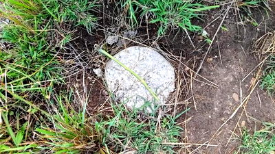 Residential Plots in Kenol - Image 2