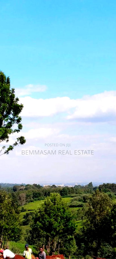 Two Acres for Sale in Tigoni - Image 5