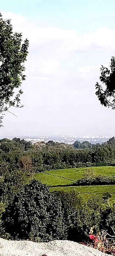 Two Acres for Sale in Tigoni - Image 1