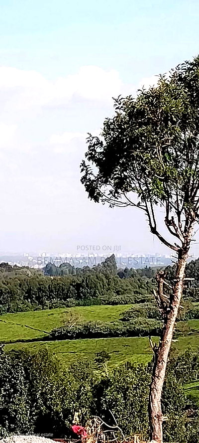 Two Acres for Sale in Tigoni - Image 3