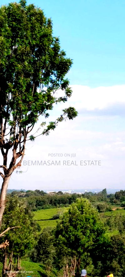 Two Acres for Sale in Tigoni - Image 2