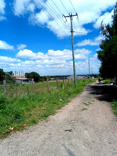 1 Acre Commercial Land in Malaa - Image 3