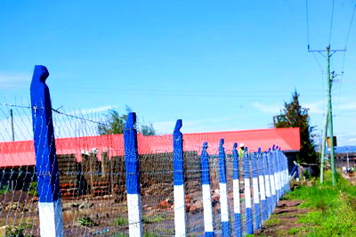 1 Acre Commercial Land in Malaa - Image 2