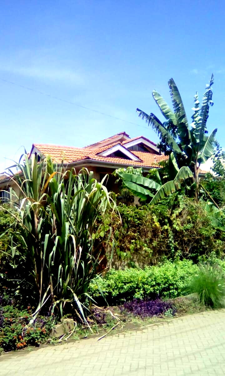4-Ensuite Townhouse with Fireplace & DSQ - Lavington