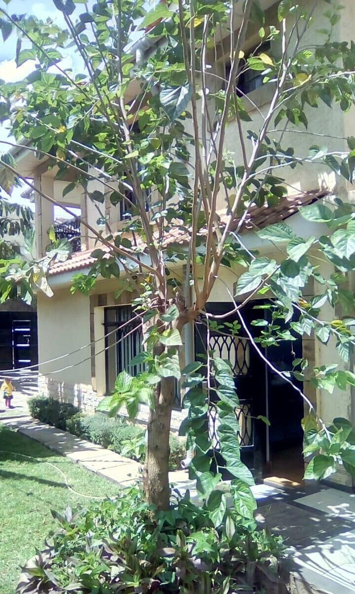 4-Ensuite Townhouse with Fireplace & DSQ - Lavington