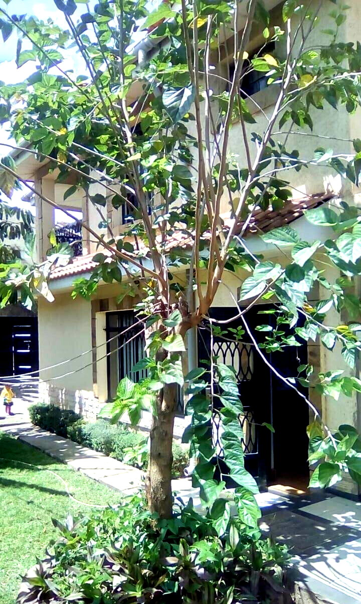 4-Ensuite Townhouse with Fireplace & DSQ - Lavington
