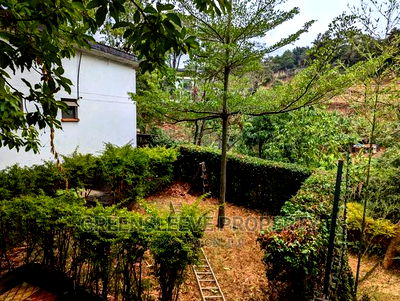 Commercial Property - Image 7