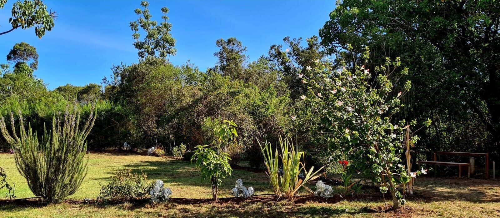 5-Acre Garden Land with Parking - Nanyuki