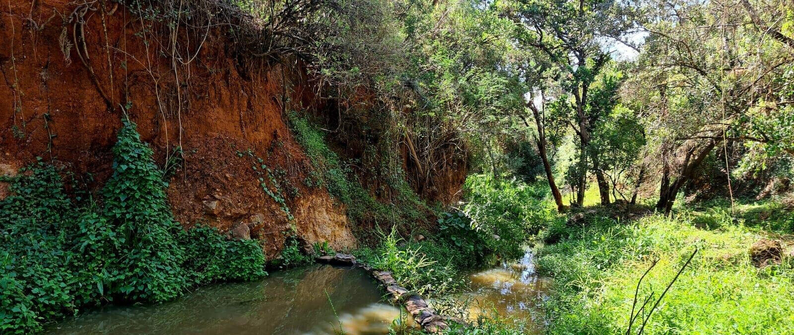 5-Acre Garden Land with Parking - Nanyuki