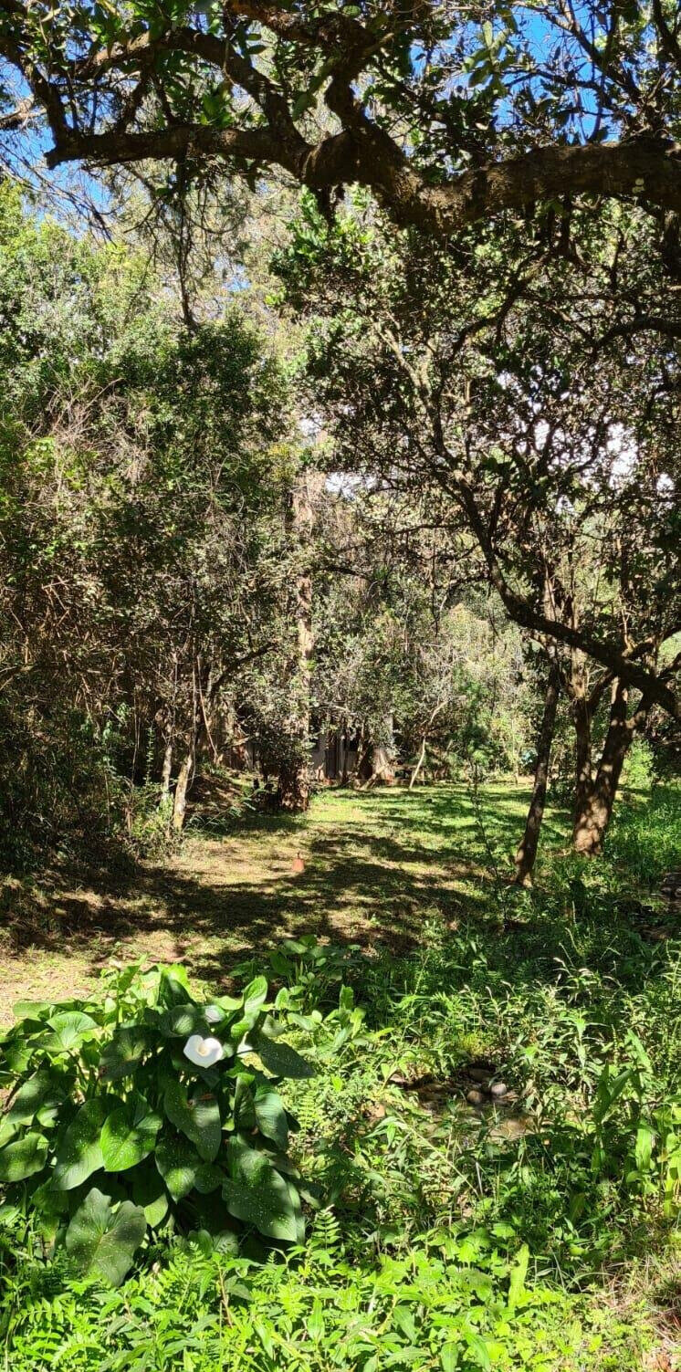 5-Acre Garden Land with Parking - Nanyuki