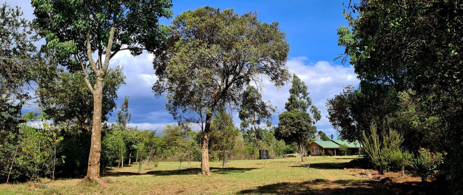 5-Acre Garden Land with Parking - Nanyuki