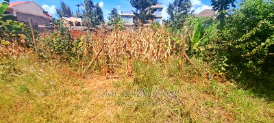 1/8 Acre 50by100 Residential Plot on Sale at Kiamumbi Kiambu - Image 5