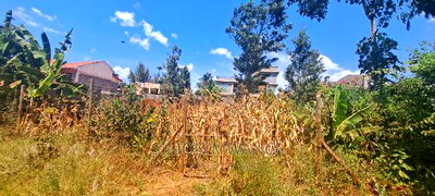 1/8 Acre 50by100 Residential Plot on Sale at Kiamumbi Kiambu - Image 3