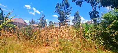 1/8 Acre 50by100 Residential Plot on Sale at Kiamumbi Kiambu - Image 4