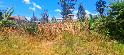 1/8 Acre 50by100 Residential Plot on Sale at Kiamumbi Kiambu - Image 2