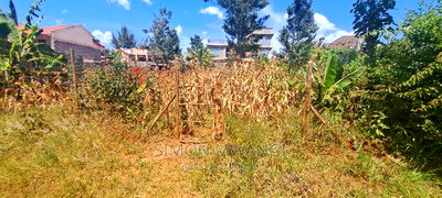 1/8 Acre 50by100 Residential Plot on Sale at Kiamumbi Kiambu - Image 1