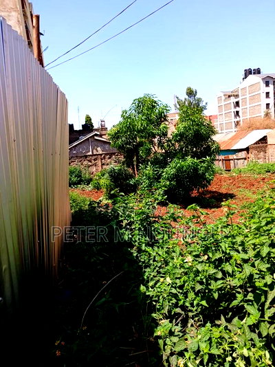 Clay Works, Kasarani 2 Plots 66*70 - Image 2