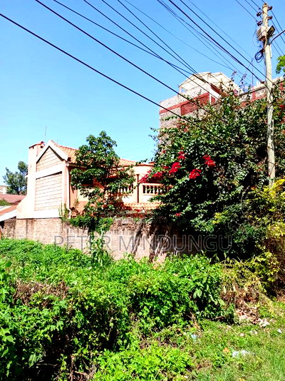 Clay Works, Kasarani 2 Plots 66*70 - Image 4