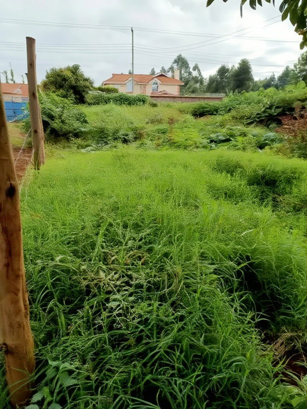40/80 Plot on Sale in Kiambu Ting'ang'A