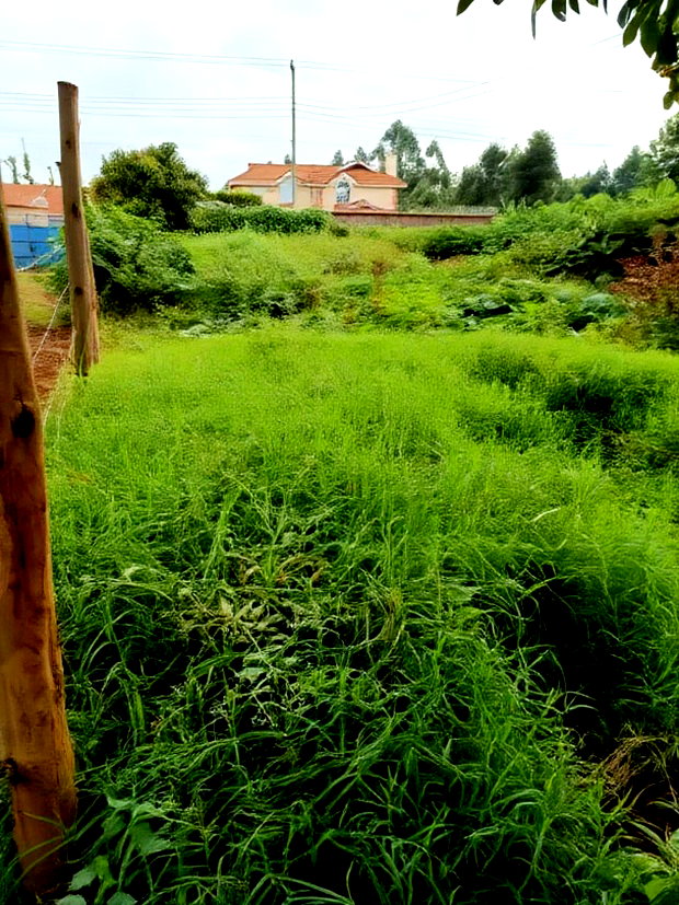 40/80 Plot on Sale in Kiambu Ting'ang'A