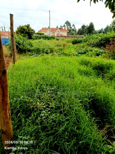 40/80 Plot on Sale in Kiambu Ting'ang'A - Image 4
