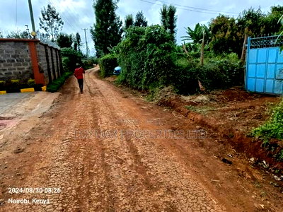 40/80 Plot on Sale in Kiambu Ting'ang'A - Image 3