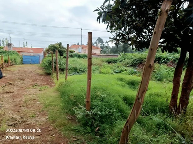 40/80 Plot on Sale in Kiambu Ting'ang'A